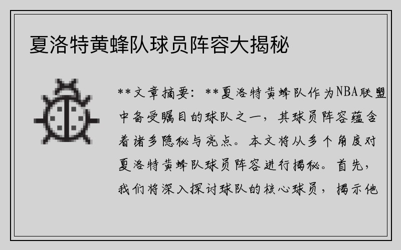 夏洛特黄蜂队球员阵容大揭秘